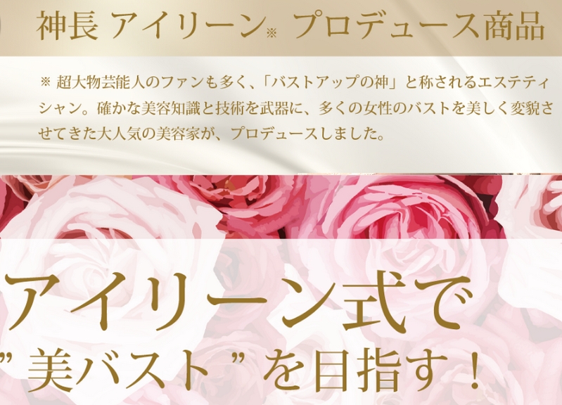 �_���A�C���[���v���W���[�X�o�X�g�A�b�v�N���[���}�j�O�����h���T�C�g